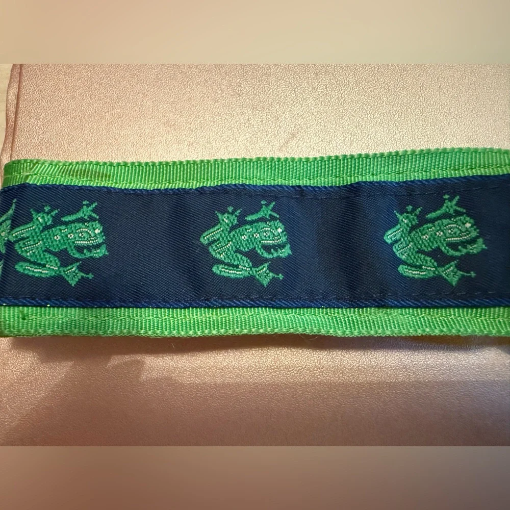 Della Divine- Frog Embroidered Ribbon D-Ring Belt, 24 inch, Navy/Green